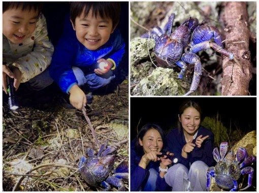 【宮古島ナイトツアー｜当日予約OK】★アマゾン帰りの男が案内する未知の世界《子供&bull;ファミリー&bull;カップル大歓迎》★2000円で一生モノの夜をの画像