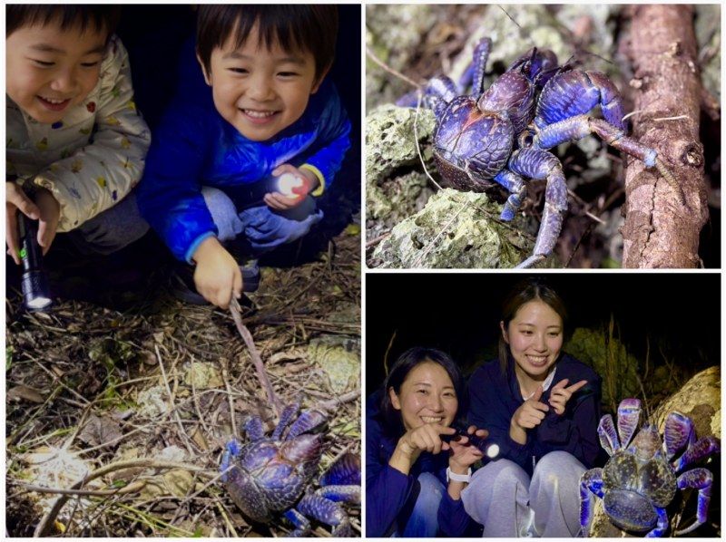 【北海道・SUP体験】透明度の高い支笏湖の湖面をクルージング！SUP体験（半日コース）の画像