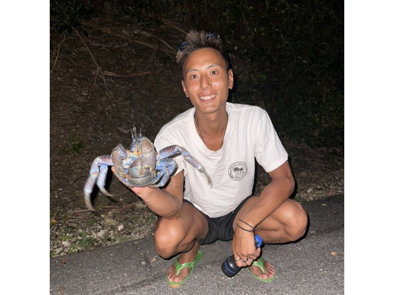 【宫古岛/夜游】和探险家山酱一起体验椰子蟹之旅！当天接受预约！星空の紹介画像