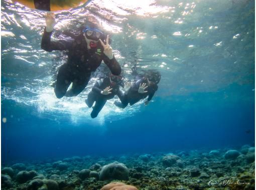 【1팀 전세】우리끼리만 즐기는 스노클링 투어 / 오키나와 푸른 동굴の画像