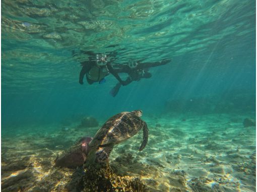 【那覇、糸満】　朝活！早朝シュノーケリング　帰る日でも間に合う！ジョン万ビーチでのシュノーケル！ 写真データ＆餌やり無料のの画像