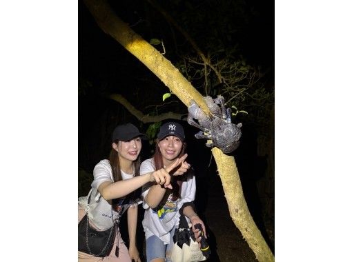 【沖縄・宮古島・当日予約OK!!】星空鑑賞付き!!ドキドキ南国ジャングナイトツアー★写真データ無料★の画像