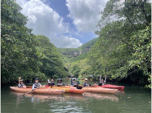 [Okinawa Prefecture/Iriomote Island] Pinaisara Falls Canoe Trekking & Yubu Island Water Buffalo Carriage Tourの画像
