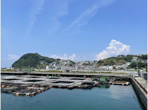 日本のアマルフィ　雑賀崎漁港から雑賀崎灯台散策の画像