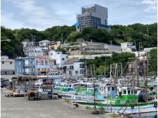 日本のアマルフィ　雑賀崎漁港から雑賀崎灯台散策の画像