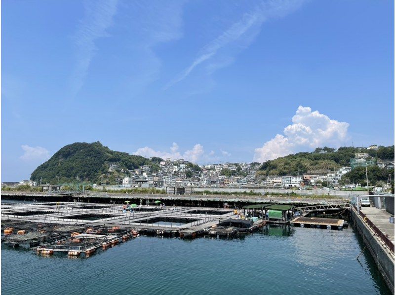 日本のアマルフィ　雑賀崎漁港から雑賀崎灯台散策の紹介画像