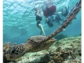 [Private tour for one group only] We will hold a tour that suits you in southern Okinawa and take over 60 photos. We will create memories of your trip to Okinawa! High chance of encountering sea turtles?