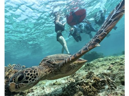【１組貸切専門】沖縄南部であなたに合ったツアーを開催、撮影写真は60枚以上。沖縄旅行の想い出作ります！高確率でウミガメ遭遇？？の画像