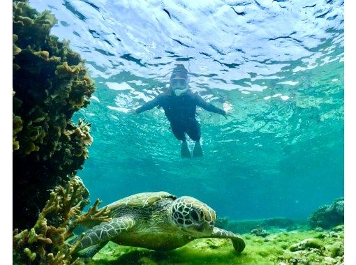 （R7年６月開業）【沖縄・糸満】１組貸切専門☆撮影写真は60枚以上！？沖縄旅行の思い出を残します！高確率でウミガメにあえるかも☆の画像