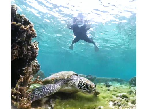 [Private tour for one group only] We will hold a tour that suits you in southern Okinawa and take over 60 photos. We will create memories of your trip to Okinawa! High chance of encountering sea turtles?の画像