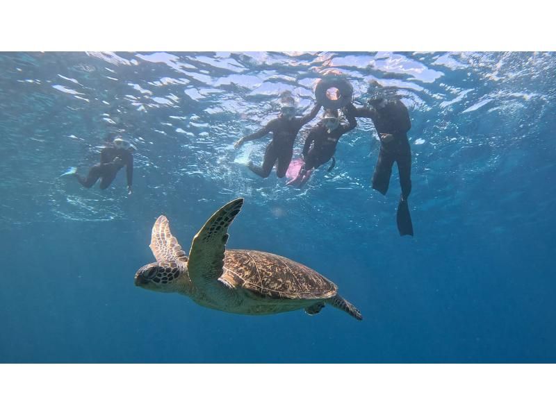 【沖縄・渡嘉敷島】ウミガメに出会える！「ボートスノーケルツアー」 リゾートホテル★ランチ付きの紹介画像