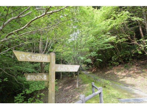 【福島県・いわき市】いわきあるき【いわき名物ガイド】と行くいわき公園秋みつけようの画像