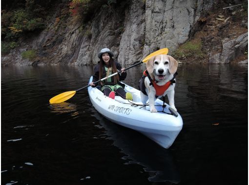 [Gunma, Minakami] Easy experience for everyone from children to the elderly! Canoeing (half day)の画像