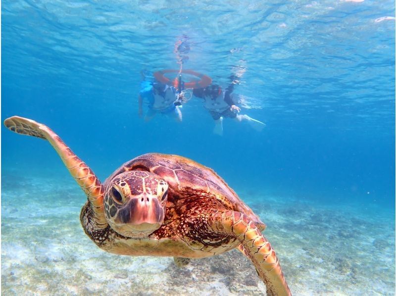 【北海道・SUP体験】透明度の高い支笏湖の湖面をクルージング！SUP体験（半日コース）の画像