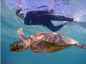 [Okinawa, Miyakojima] A turtle paradise: Snorkeling at Shinjo Beach