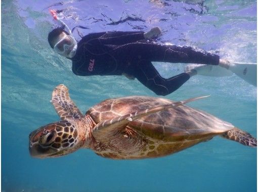 [Okinawa, Miyakojima] A turtle paradise: Snorkeling at Shinjo Beachの画像