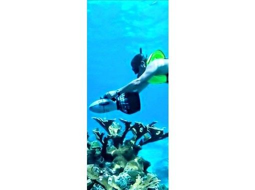 【沖縄・宮古島】シュノーケル＆シースクーターで海中冒険！魚たちと駆け抜ける絶景体験の画像