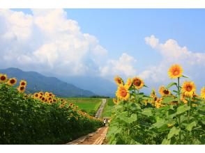 【香川縣滿濃町】騎上電動輔助自行車，到向日葵田裡兜風吧！附贈向日葵種植者推薦路線圖♪（4小時租約）