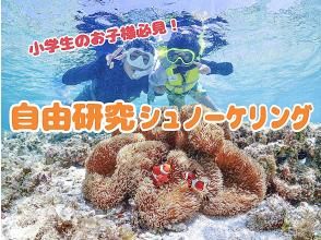 [冲绳宫古岛]小学生免费研究浮潜，家长必看！附赠工作表礼物