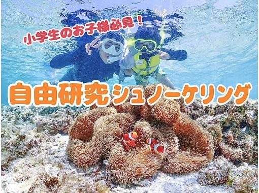 [沖繩，宮古島]邊玩邊學！免費研究浮潛〜附贈工作紙〜の画像