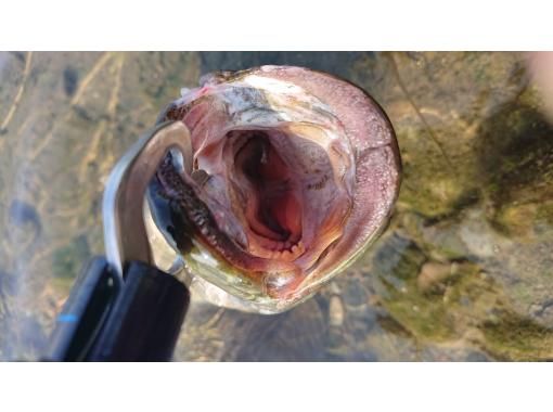 [Chofu, Tokyo] Summer vacation independent study, 4-part theme: "River Fishing Enthusiasm" 4-day Friday course, August 1st, 8th, 22nd, and 29thの画像