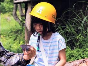【長野県・八ヶ岳】大人もこどもも夢中ではしゃぐ 夏休み特別企画！ みんなの里山「市民の森」で いきもの探し