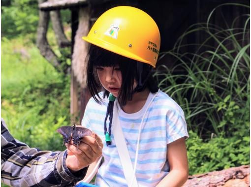 【長野県・八ヶ岳】大人もこどもも夢中ではしゃぐ 夏休み特別企画！ みんなの里山「市民の森」で いきもの探しの画像