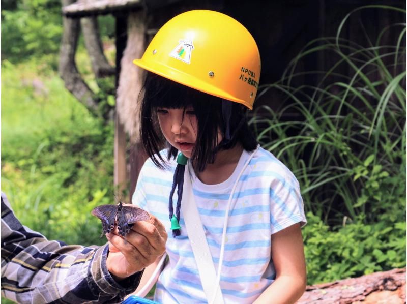 【長野県・八ヶ岳】大人もこどもも夢中ではしゃぐ 夏休み特別企画！ みんなの里山「市民の森」で いきもの探しの紹介画像
