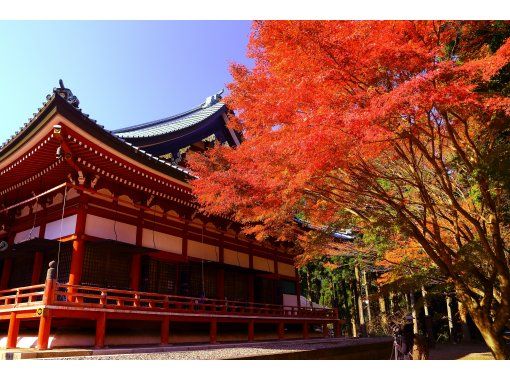 【滋賀・大津】「日本天台三総本山」僧侶がご案内する秋の特別公開（比叡山延暦寺・三井寺・西教寺）の画像