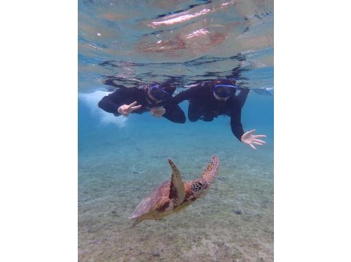 [ 冲绳 宫古岛 ] 海龟浮潜之旅の画像