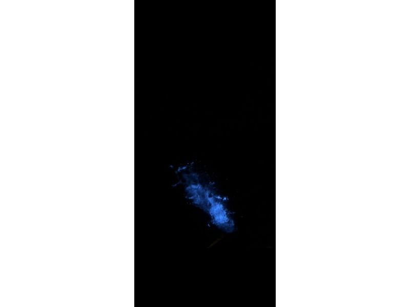 【東京・神津島】船で行く!!「夜光虫」ナイトクルージング！！の紹介画像
