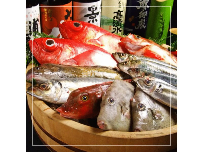 [Kanagawa/Kamakura] Recommended for beginners! All-inclusive boat fishing + cooking the fish you catch (with pick-up and drop-off and instructor)の紹介画像