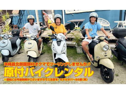 【沖縄本島・最北部 国頭村】原付バイクレンタル〜オクマでツーリングしませんか♪の画像