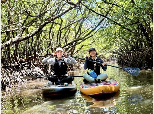[Ishigaki Island | Looks great on a rainy day!] Subtropical jungle SUP and drone photography! Free photo dataの画像