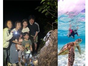 [Miyakojima Adventure Set] Sea turtle and night safari tour! Your children will definitely be satisfied!