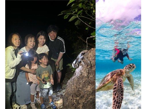 【宫古岛探险套餐】海龟和夜间野生动物园之旅！の画像