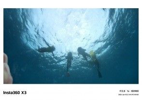 [Departing from Ginowan Port Marina] 1 hour empty-handed snorkeling Coral Paradise Towels and showers are free