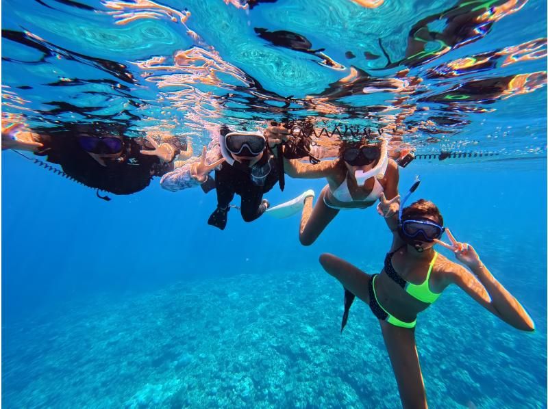 [Ishigaki Island/Private Rental Available] Sea turtle snorkeling! Safe for small children! Free photos and data!の紹介画像