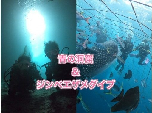 【青の洞窟&ジンベエザメ】豪華2ダイブセット⭐️写真、動画取り放題⭐️追加料金なし⭐️ライセンス不要⭐️午前or午後から選べる半日便の画像