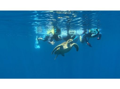 【沖縄・石垣島/半日】4年間ウミガメ遭遇率100%！青の洞窟＆ウミガメシュノーケル！神秘の青と癒し(撮影データプレゼント)のコピーの画像
