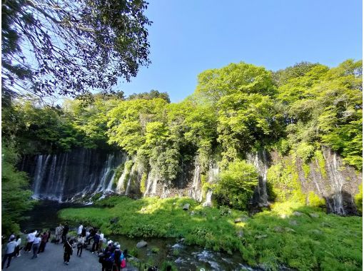 [Shizuoka/Fuji] View of Mt. Fuji from the western foot of Mt. Fuji - Tour with sake brewery tour and sake tasting (course can be customized)の画像