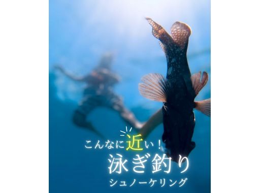 【石垣島・竹富島】泳ぎながら釣り体験”見釣り”（シュノーケルフィッシング）完全貸し切り船で自由な海遊びツアー！所要時間3時間の画像