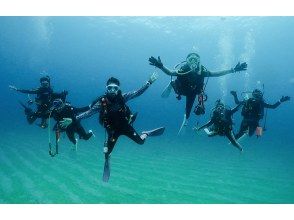 [Kanagawa/Yokohama] Women can feel safe too! A quick and easy day trip diving experience plan!