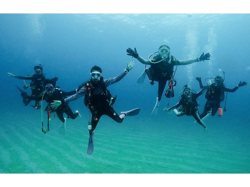 [Kanagawa/Yokohama] Women can feel safe too! A quick and easy day trip diving experience plan!の紹介画像
