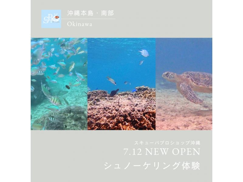 【沖縄本島・ジョン万】シュノーケリング（半日コース）3名様より￥3000割引適用☆レンタカー不要・送迎代込み！年齢制限なし！講習付きで安心の紹介画像