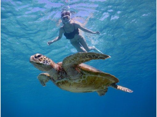 【沖縄・宮古島／新城海岸】ウミガメと会えるビーチでシュノーケルセット・クリアカヤックレンタルの画像
