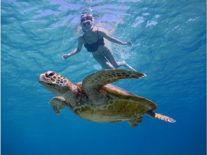 【北海道・SUP体験】透明度の高い支笏湖の湖面をクルージング！SUP体験（半日コース）の画像