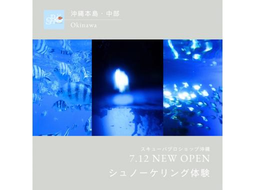 【沖縄本島・青の洞窟】シュノーケリング（半日コース）3名様より￥3000割引適用☆レンタカー不要・送迎代込み！年齢制限なし！講習付きで安心の画像