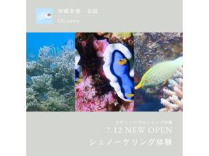 【沖縄本島・ゴリチョ】シュノーケリング（半日コース）3名様より￥3000割引適用☆レンタカー不要・送迎代込み！年齢制限なし！講習付きで安心の