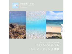 【沖縄本島・トンナハ】シュノーケリング（半日コース）3名様より￥3000割引適用☆レンタカー不要・送迎代込み！年齢制限なし！講習付きで安心の